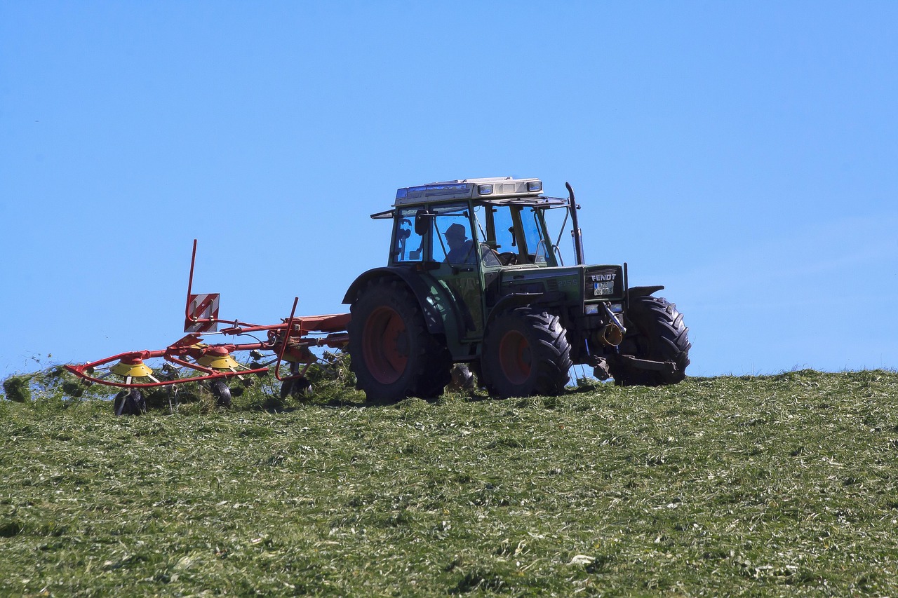 Photo: stux / Pixabay China promotes agricultural technology cooperation in Fiji and Madagascar