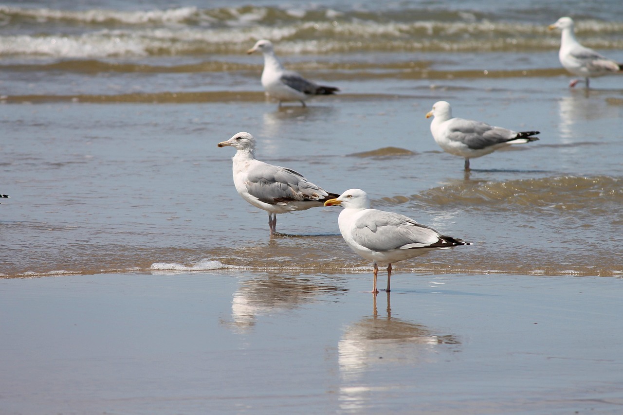 Photo: manfredrichter / Pixabay Spot silver prices reach 66.56 US dollars per ounce